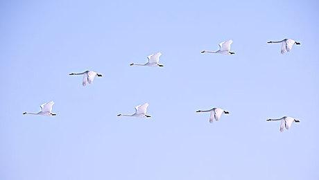 传闻：《GTA6》女主有一个孩子 或已为人妻